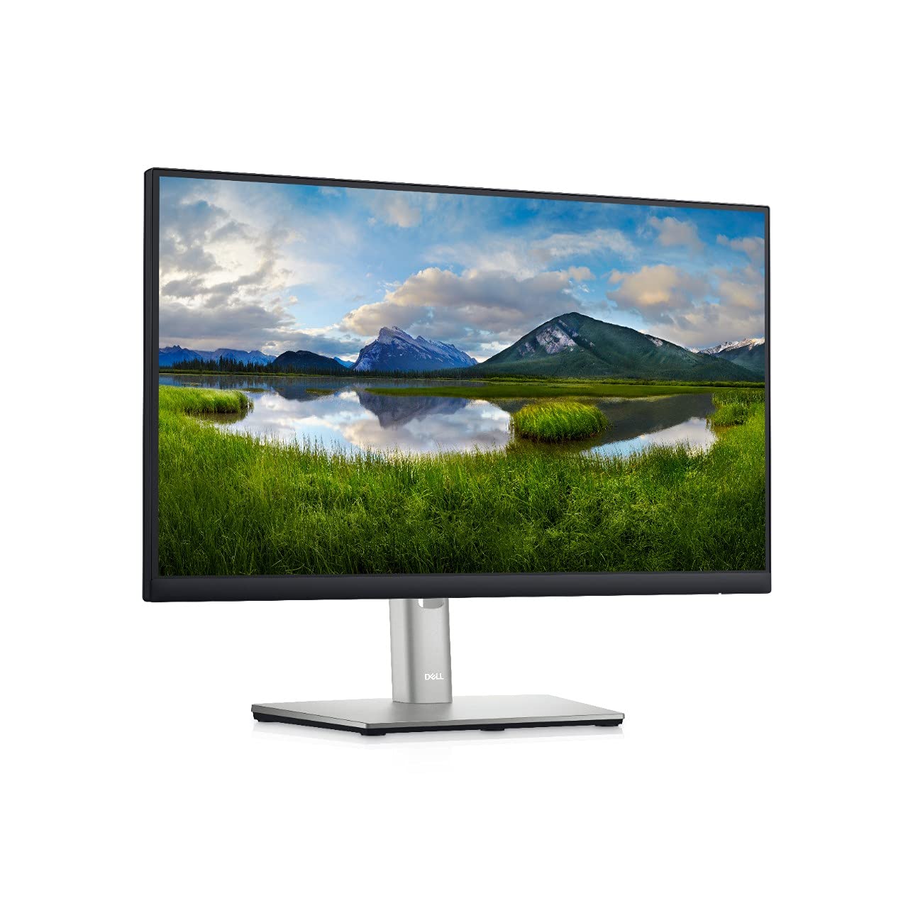 21-Inch Monitor