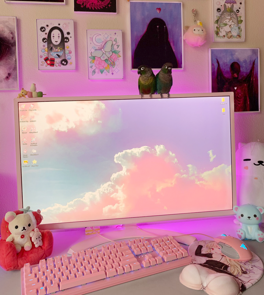 pink monitors